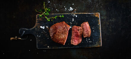 Foodfoto-Fleisch-0069