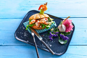 Foodfoto-Fisch-0107